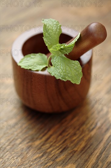 Close up of herbs in wooden mortar and pestle