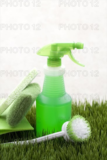 Green scrubber