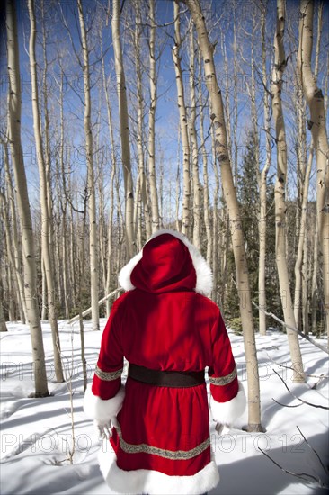 Santa Claus walking in snowy forest