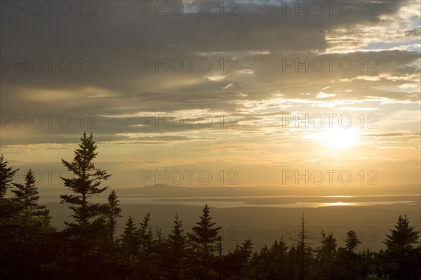 Sunrise over treetops in remote landscape