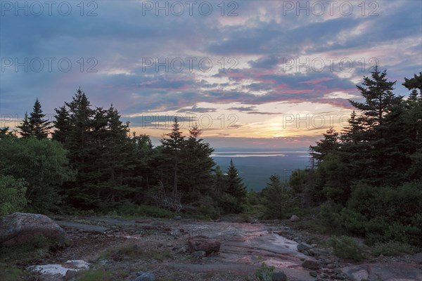 Sunrise over treetops on remote hillside