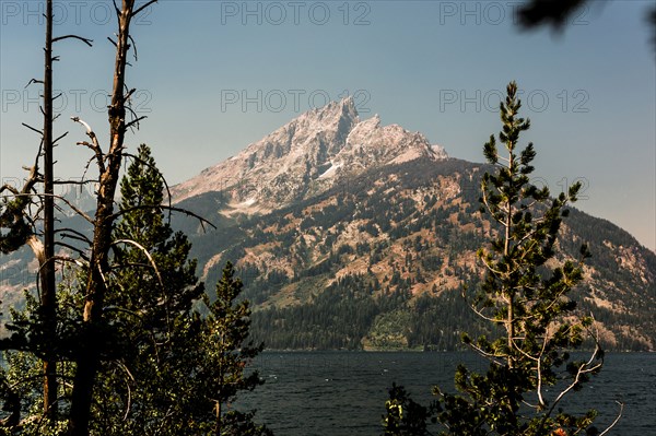 Treetops near lake and remote mountain