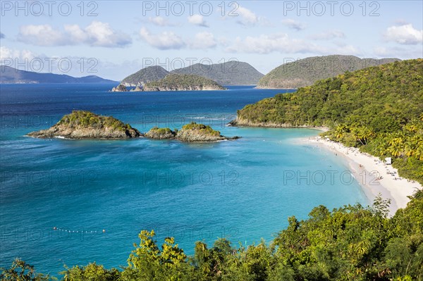 Lush hillsides near tropical ocean