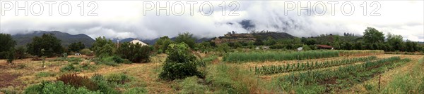 Panoramic view of farm fields in rural landscape