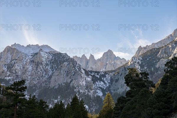 Trees near mountains