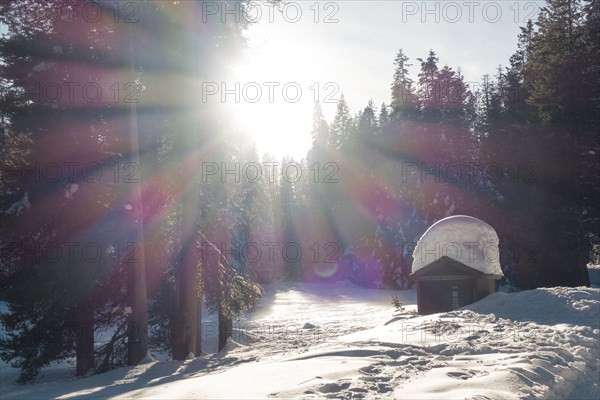 Sunbeams on snow covered house in forest