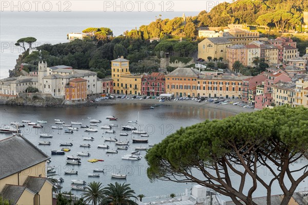 Scenic view of boats in harbor