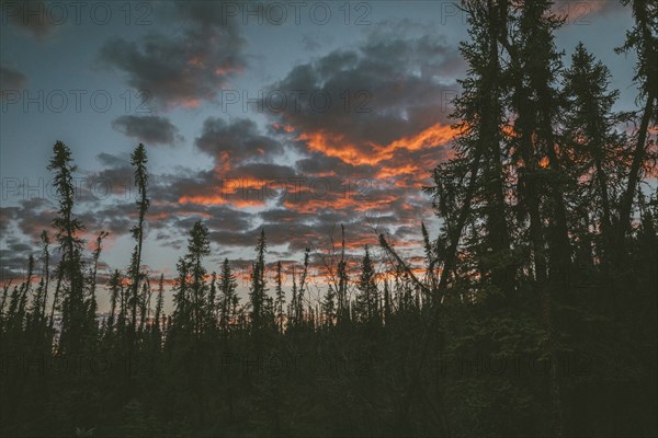 Sunset on clouds in forest