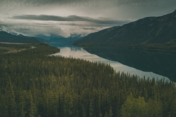 Scenic view of trees and river