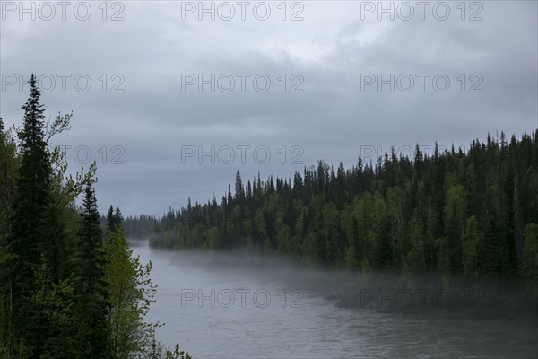 Fog over river