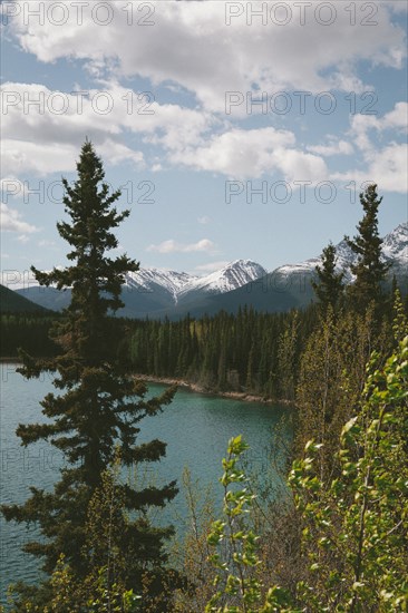 Scenic view of trees at mountain lake