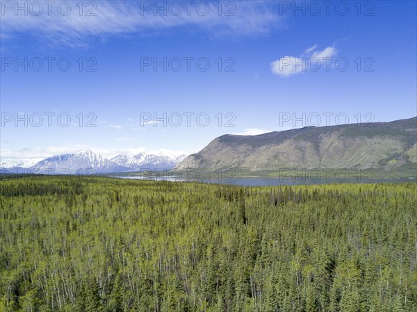 Scenic view of trees and river near mountain