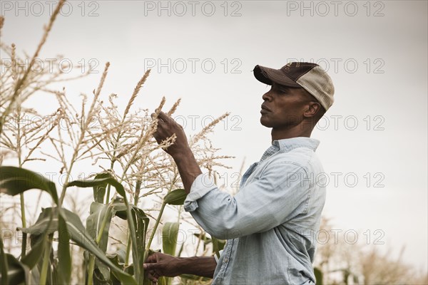 African American farmer tending crops