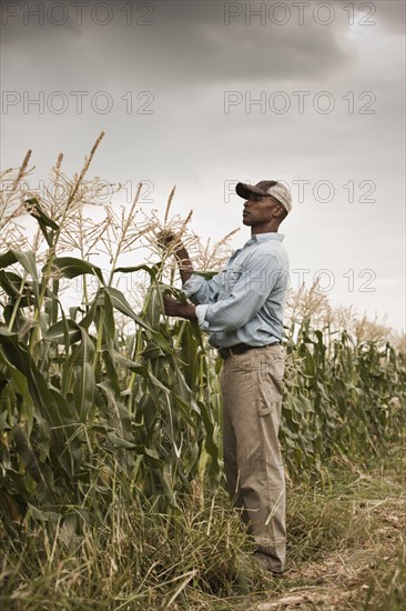 African American farmer tending crops