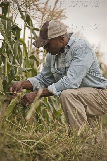 African American farmer tending crops