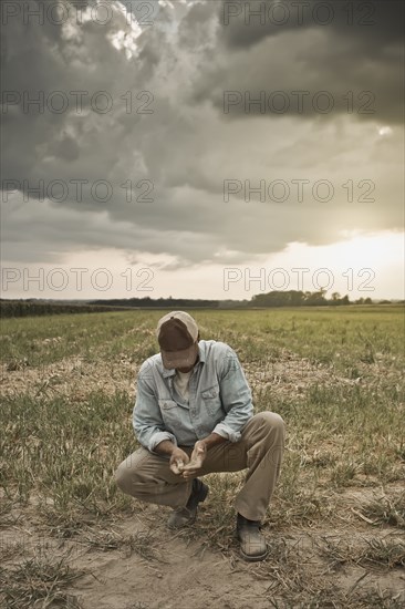 African American farmer checking dirt in field