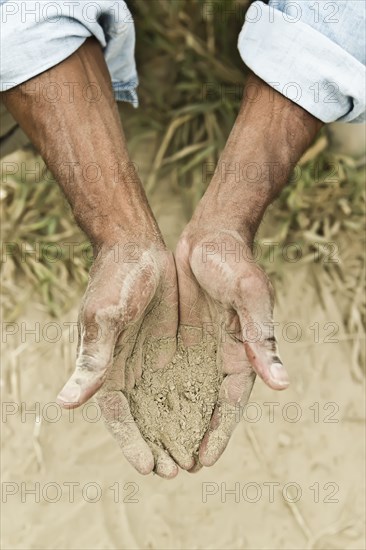 African American farmer checking dirt in field