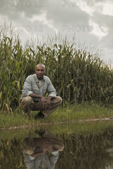 African American farmer squatting near water and crops