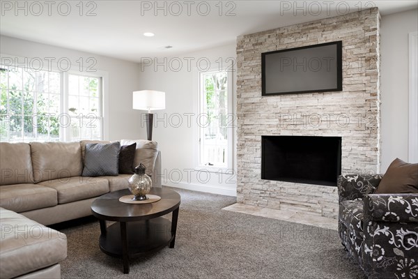 Interior of elegant living room with fireplace