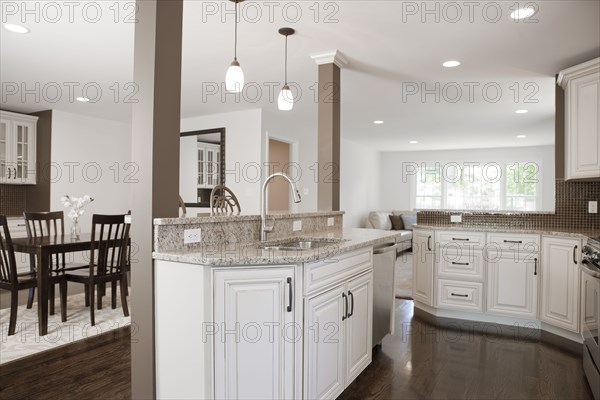 Interior of elegant kitchen