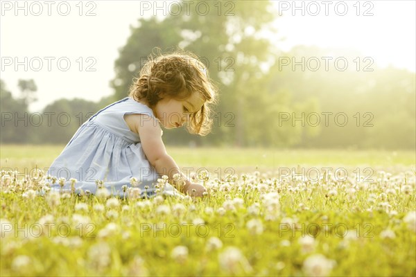 Caucasian girl picking flowers in field