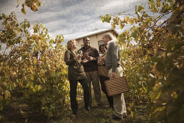 Friends drinking wine in vineyard