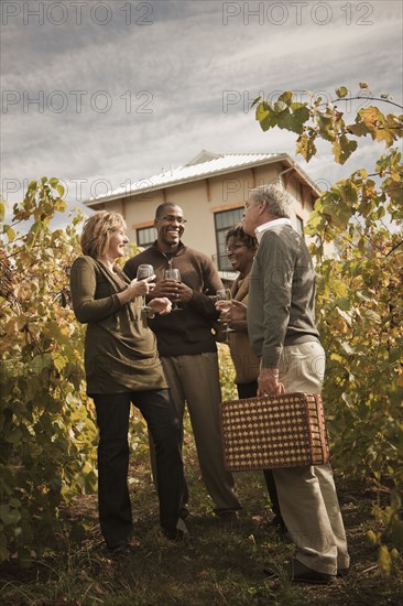 Friends drinking wine in vineyard