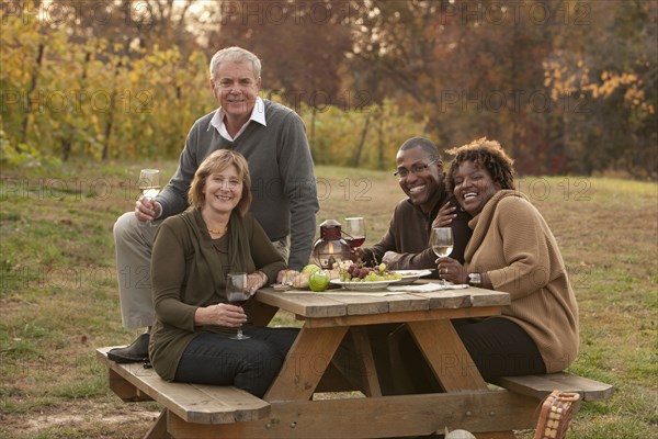 Friends having picnic and drinking wine