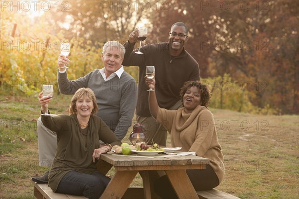 Friends having picnic and drinking wine