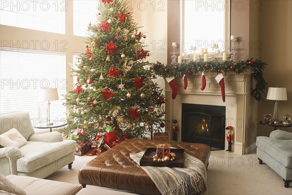 Christmas tree and decorations in living room