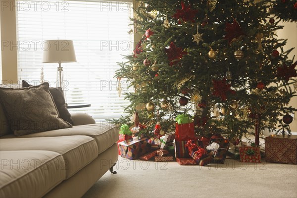 Christmas tree and gifts in living room