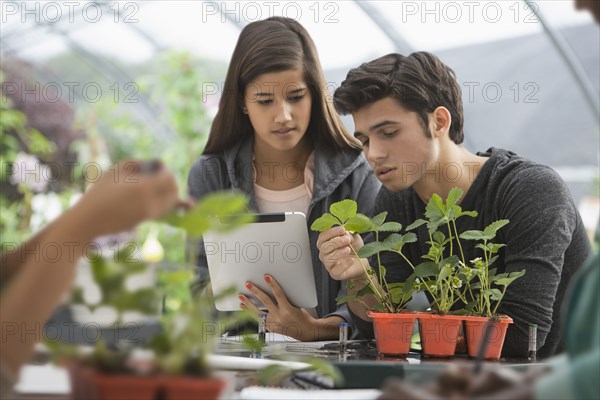 Students working in greenhouse