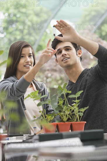 Students working in greenhouse