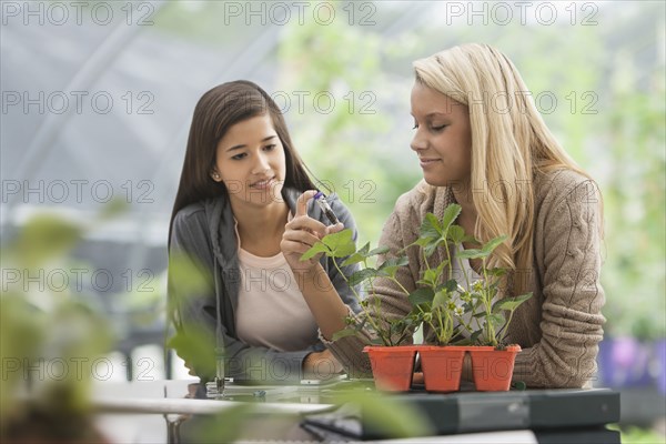 Students working in greenhouse