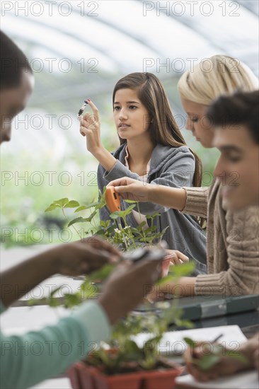 Students working in greenhouse