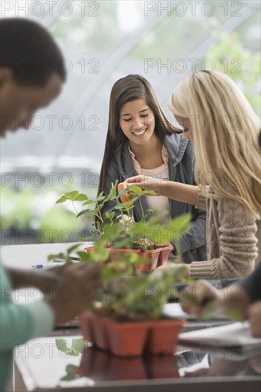 Students working in greenhouse