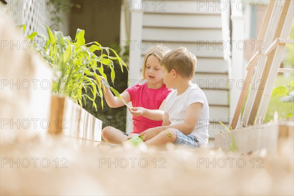 Children gardening together in backyard