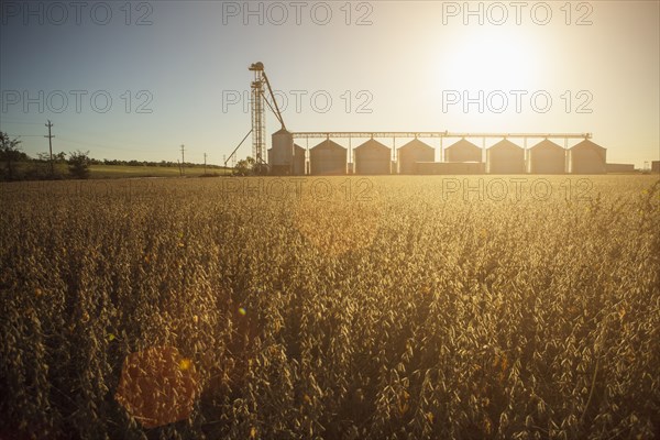 Silos and crops in farm field