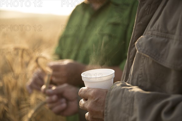 Caucasian men examining wheat