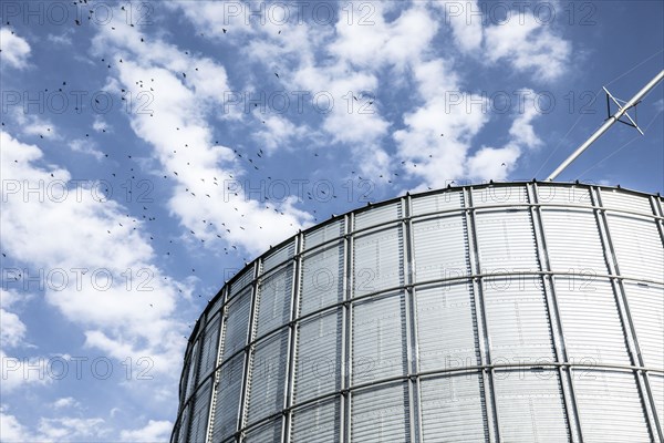 Birds flying near silo