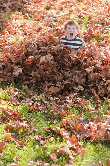 Caucasian boy playing in autumn leaves