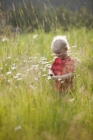 Caucasian boy admiring flowers in tall grass