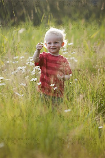 Caucasian boy admiring flowers in tall grass