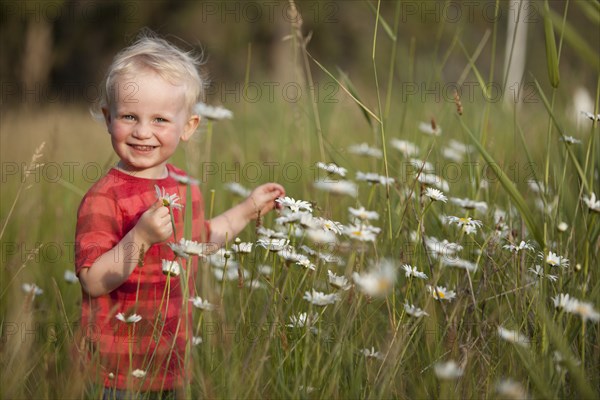 Caucasian boy admiring flowers in tall grass