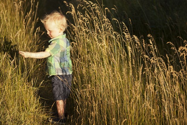 Caucasian boy standing in tall grass