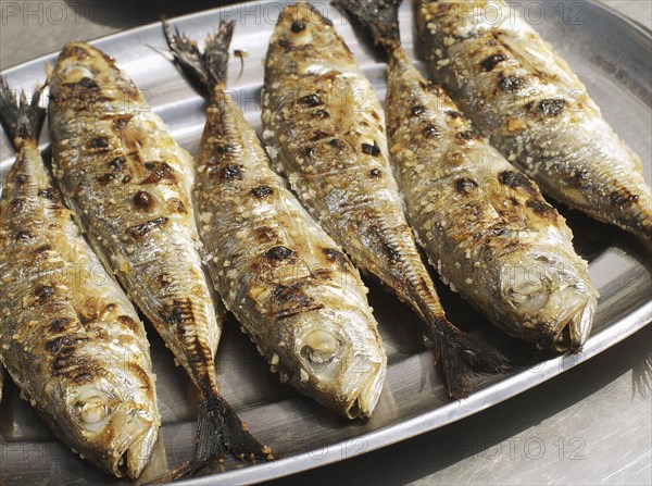 Close up of grilled Portuguese sardines