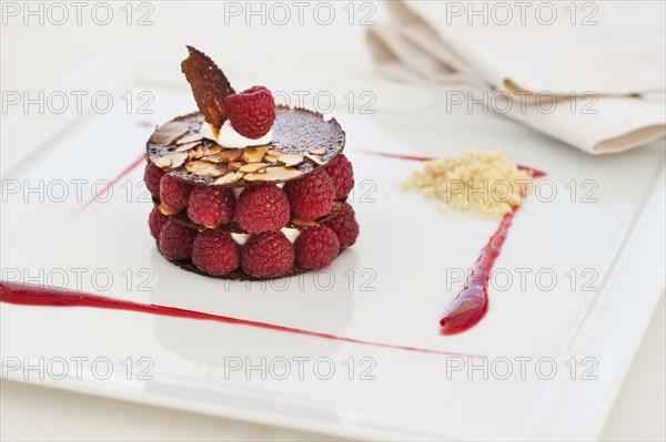 Elegant raspberry dessert