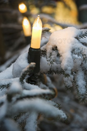 Close up of Christmas string lights