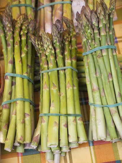 Close up of asparagus bunches