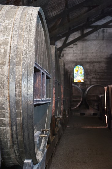 Close up of wine barrels in cellar